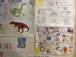 �����������